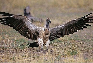 《漫威暗夜之子》已完成大修 新预告＆发行日6月公布